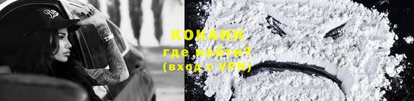 индика Алзамай